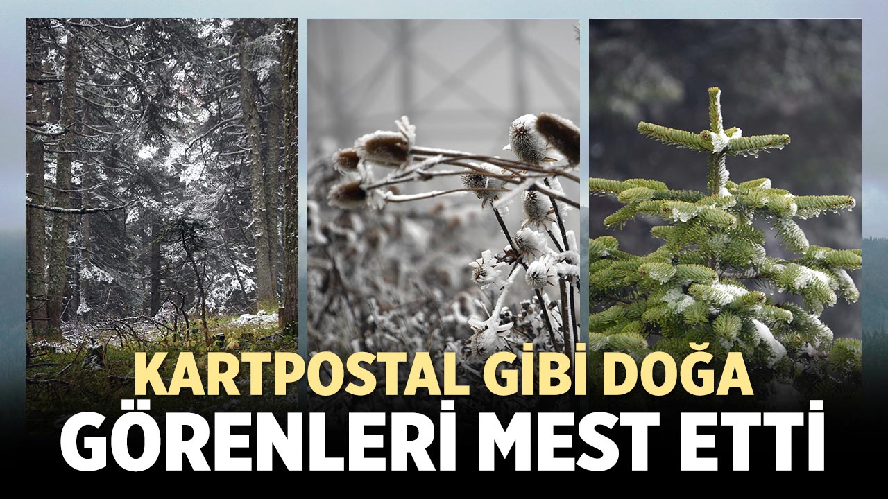 Ilgaz Dağı’nda kar yağışı sonrası ortaya mest eden görüntüler çıktı