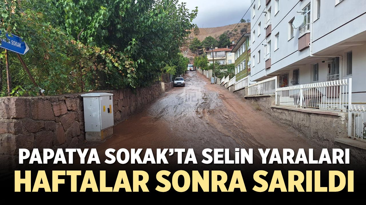 Papatya Sokak’ta selin yaraları haftalar sonra sarıldı