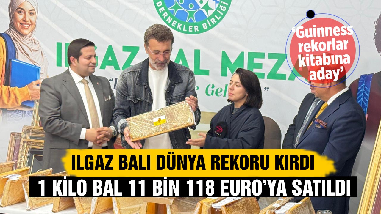Ilgaz Balı Dünya Rekoru Kırdı: 1 Kilo Bal 11 Bin 118 Euro’ya satıldı