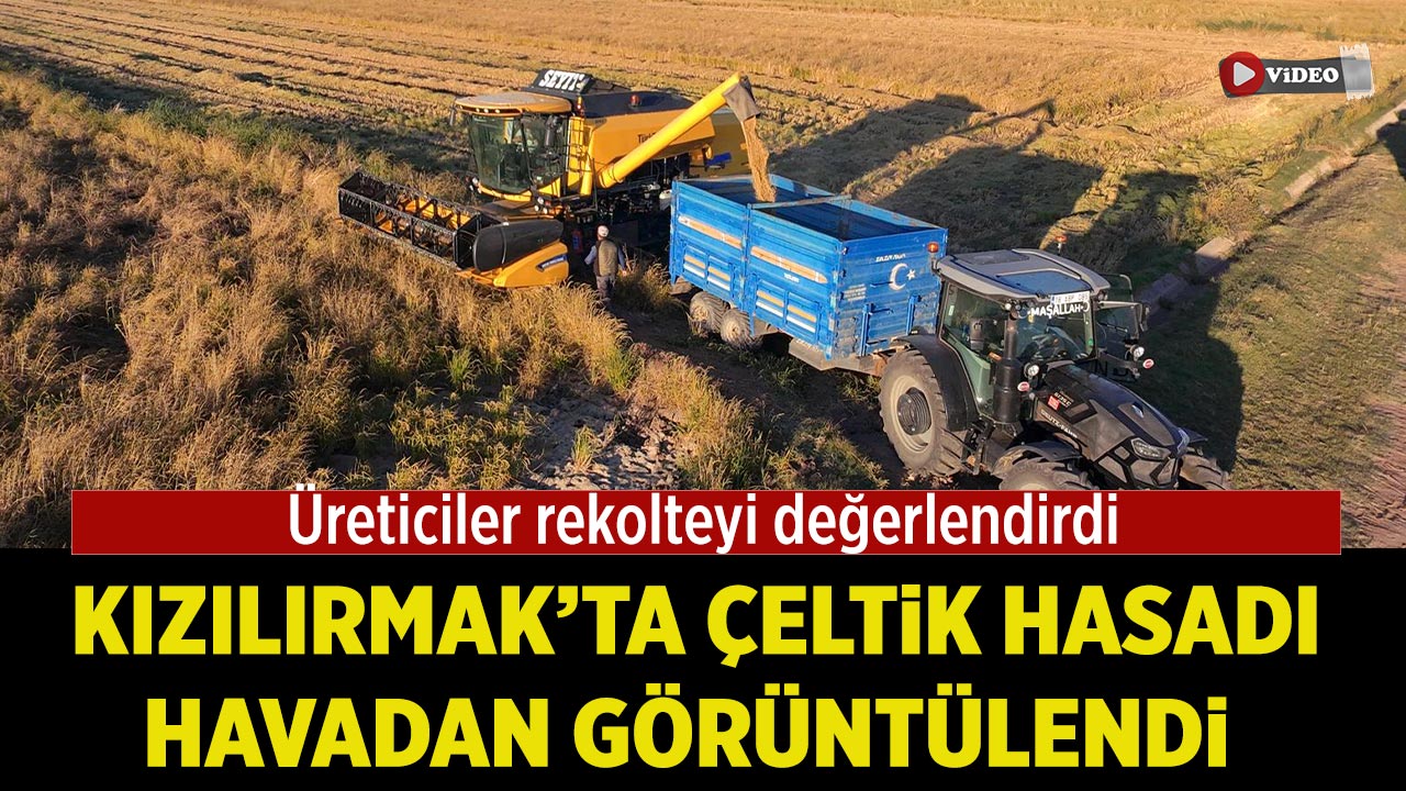 Kızılırmak’ta Çeltik Hasadı havadan görüntülendi: Üreticiler rekolteyi değerlendirdi