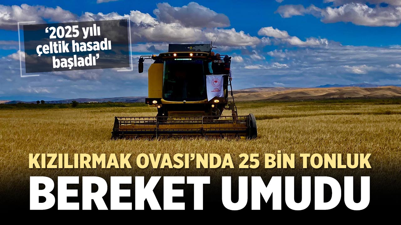Kızılırmak Ovası’nda 2025 yılı çeltik hasadı törenle başladı