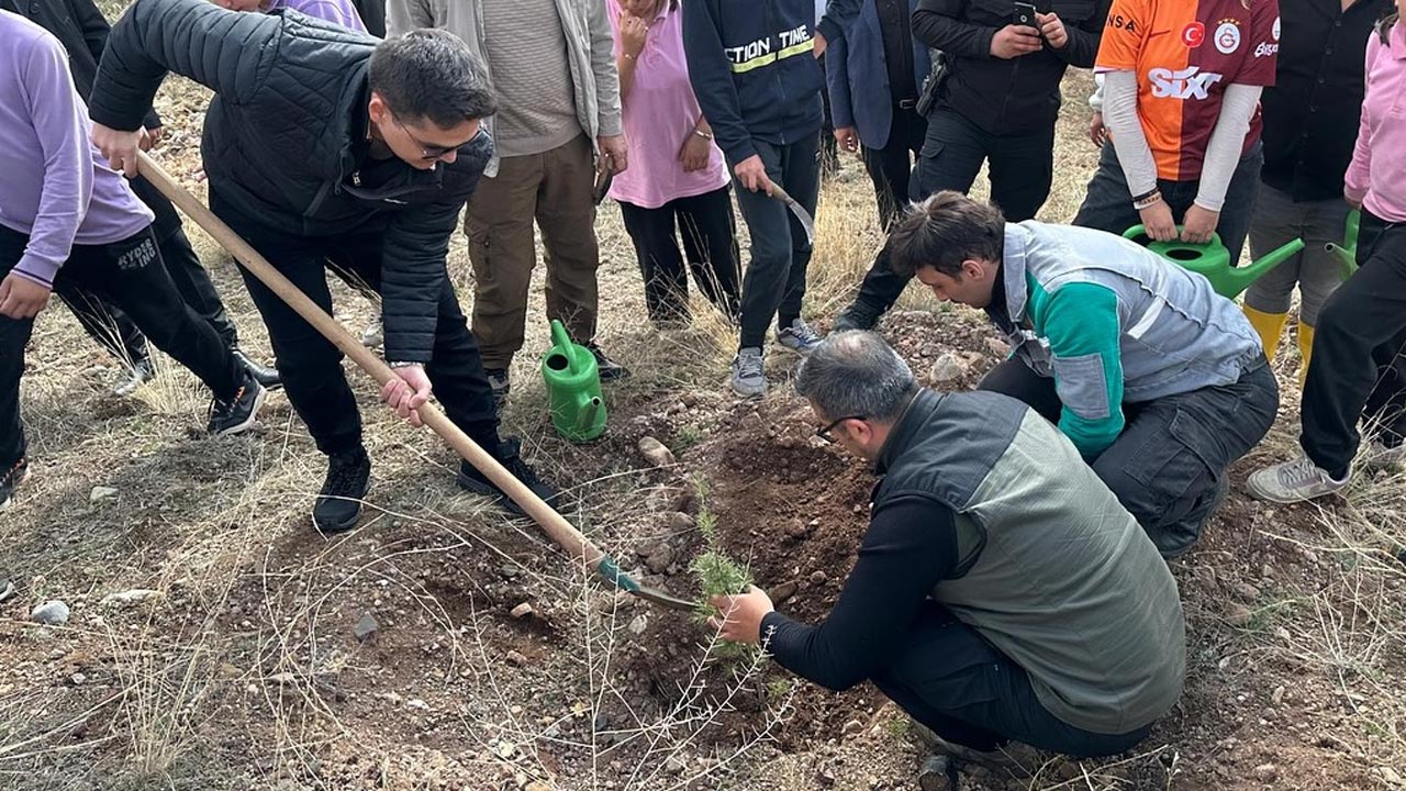 Yapraklida 102 Fidan Dikildi,
