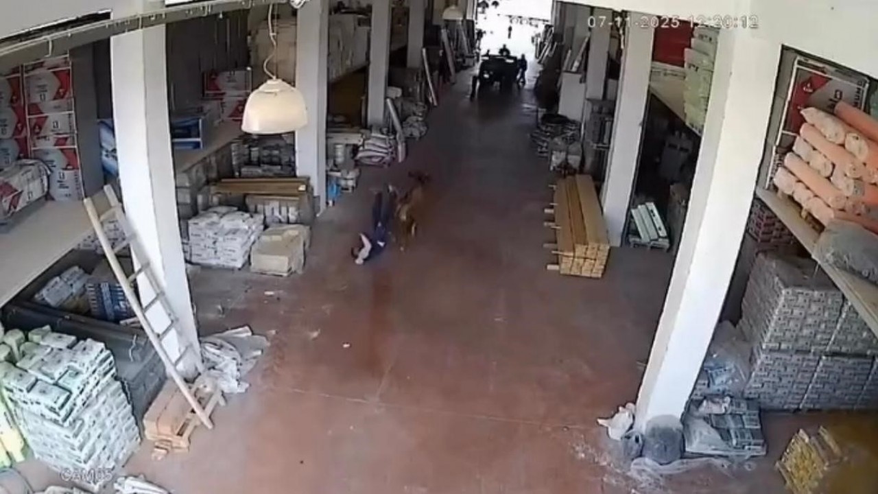 Çankırı'da depoya giren inek çalışanlara saldırdı: Vatandaşlar güçlükle kurtuldu