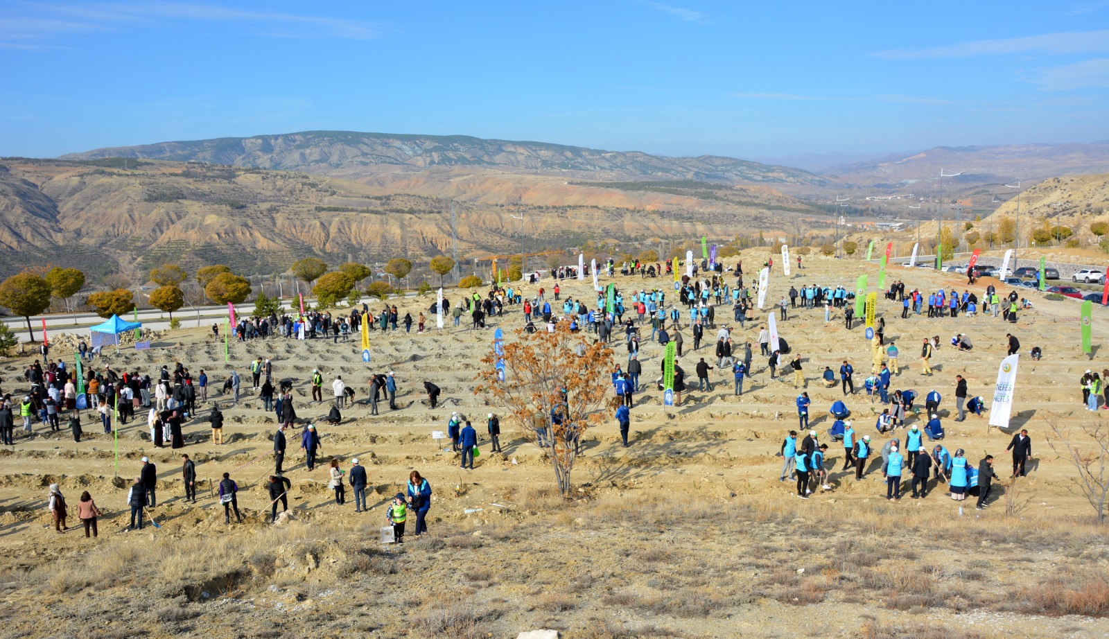 Uluyazi Fidan Dikim1