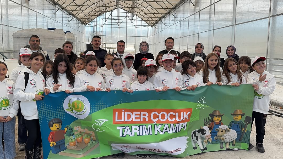 571263432 1242542017892046 2420123739641361817 N