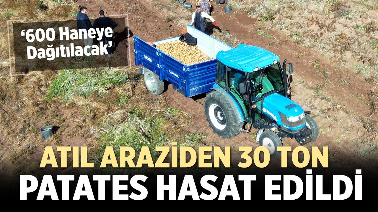 Çankırı Belediyesi 30 Ton Patates Üretti: 600 Haneye Dağıtılacak