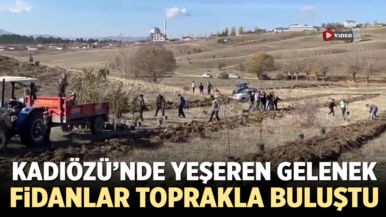 Kadıözü’nde Yeşeren Gelenek: Meyve fidanları toprakla buluştu