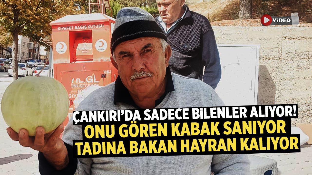 Çankırı’da sadece bilenler alıyor! Gören kabak sanıyor