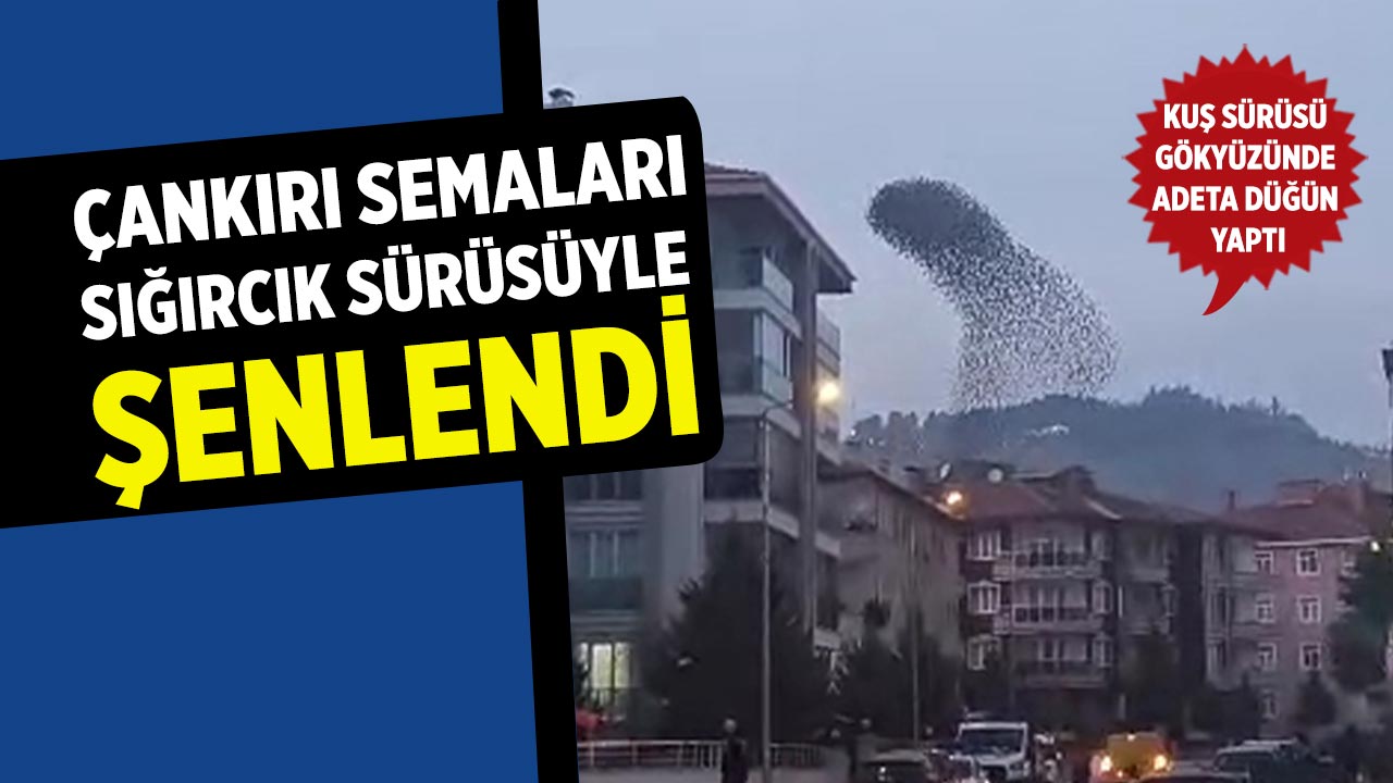 Çankırı’da sığırcık sürüsünden gökyüzünde görsel şölen
