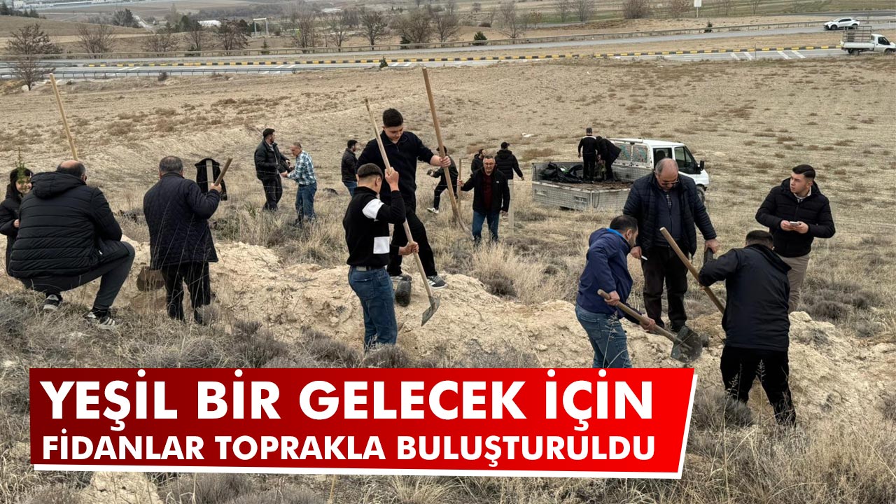 Çankırı’da Yeşil Bir Gelecek İçin Fidanlar Toprakla Buluşturuldu