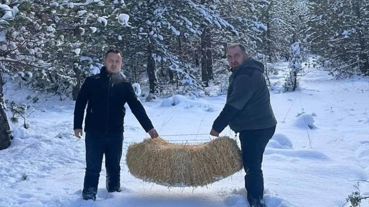 Cankiri Yaban Hayati 1