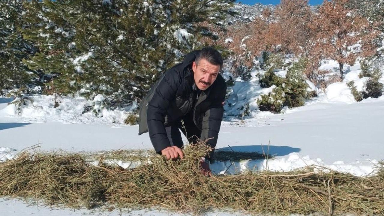 Cankiri Yaban Hayati 2