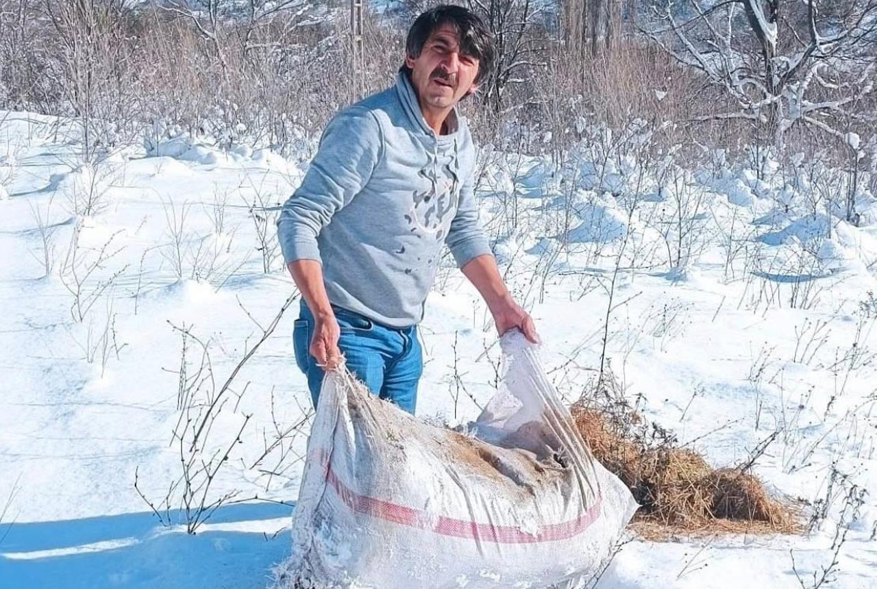 Cankiri Yaban Hayati 4