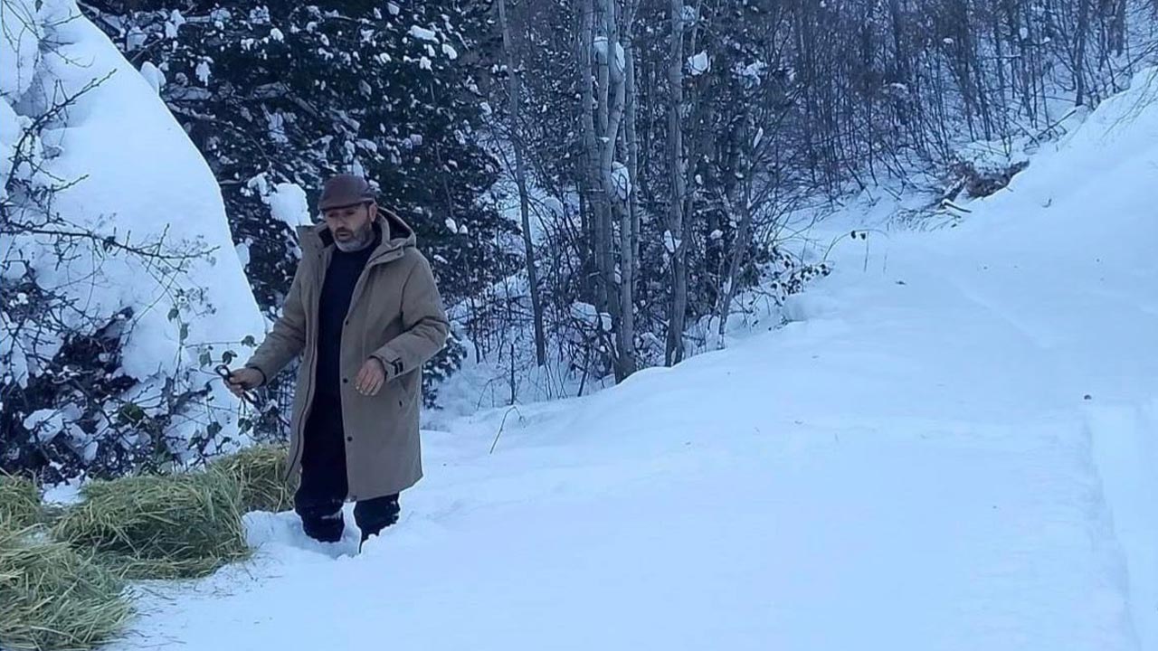 Cankiri Yaban Hayati 5