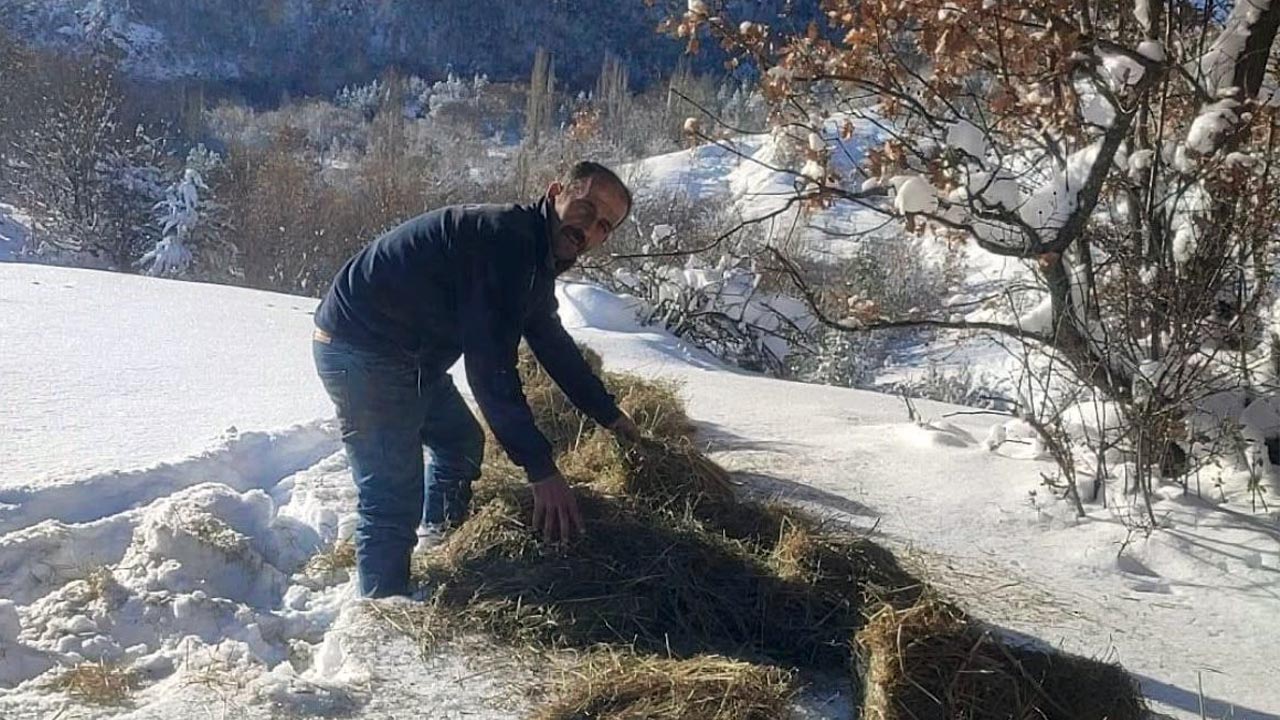 Cankiri Yaban Hayati 6