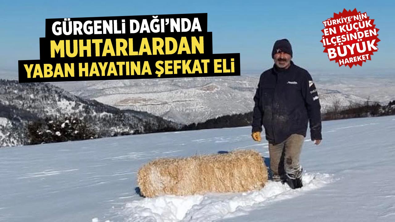 Çankırı Gürgenli Dağı’nda Muhtarlardan yaban hayatına şefkat eli