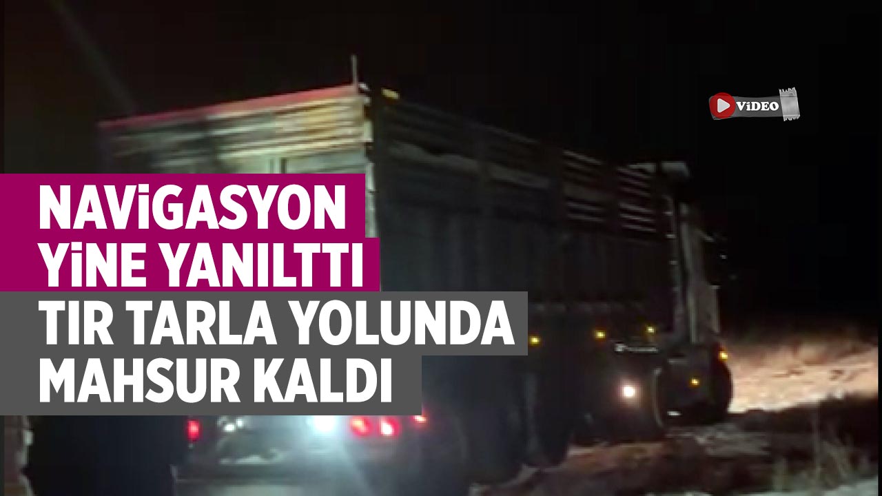Çankırı’da Navigasyon Yine Yanılttı: TIR Tarla Yolunda Mahsur Kaldı
