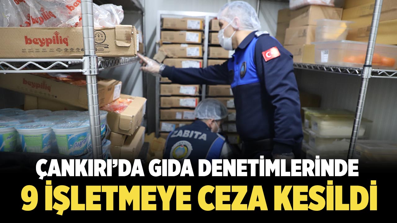 Çankırı’da Gıda Denetimlerinde 9 İşletmeye Ceza Kesildi