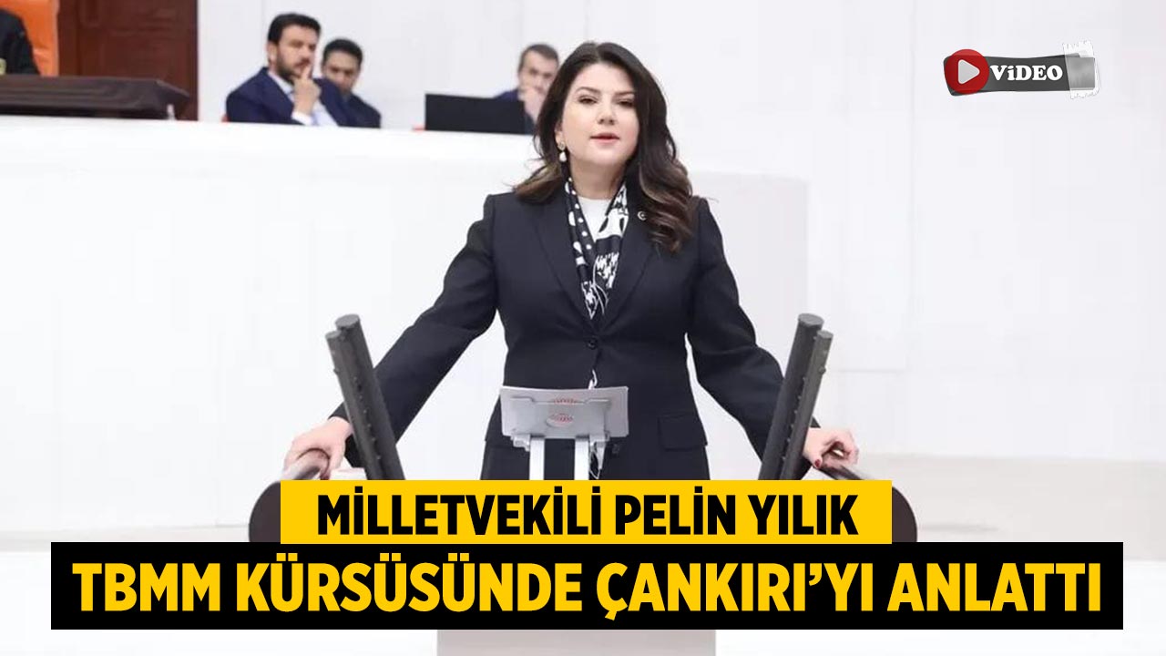 Milletvekili Pelin Yılık TBMM Kürsüsünde Çankırı’yı Anlattı