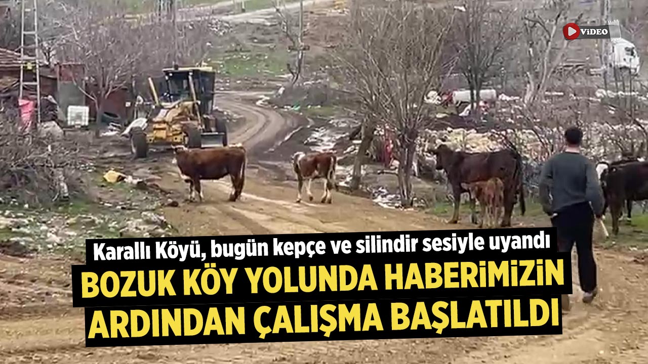 Çankırı'da bozuk köy yolunda haberimizin ardından çalışma başlatıldı