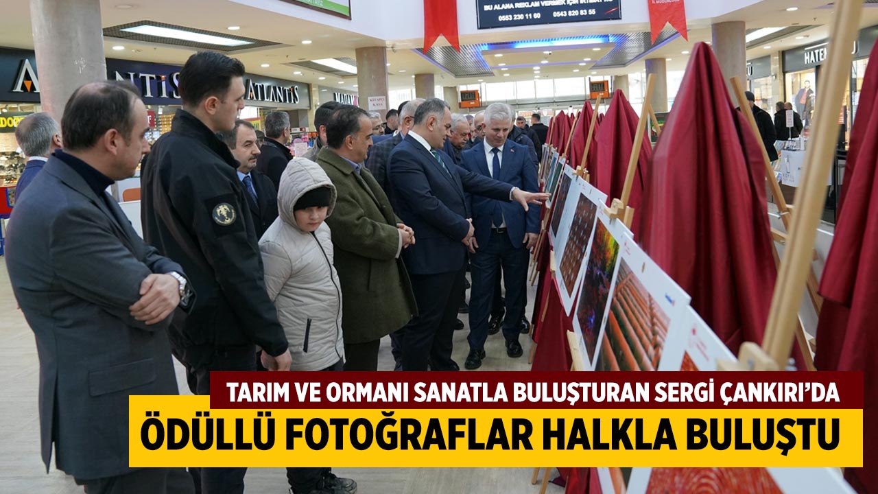 Tarım ve Ormanı Sanatla Buluşturan Sergi Çankırı’da Açıldı