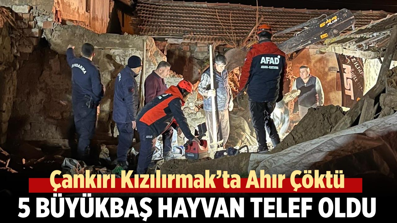 Çankırı’da Ahır Çöktü: 5 Büyükbaş Hayvan Telef Oldu