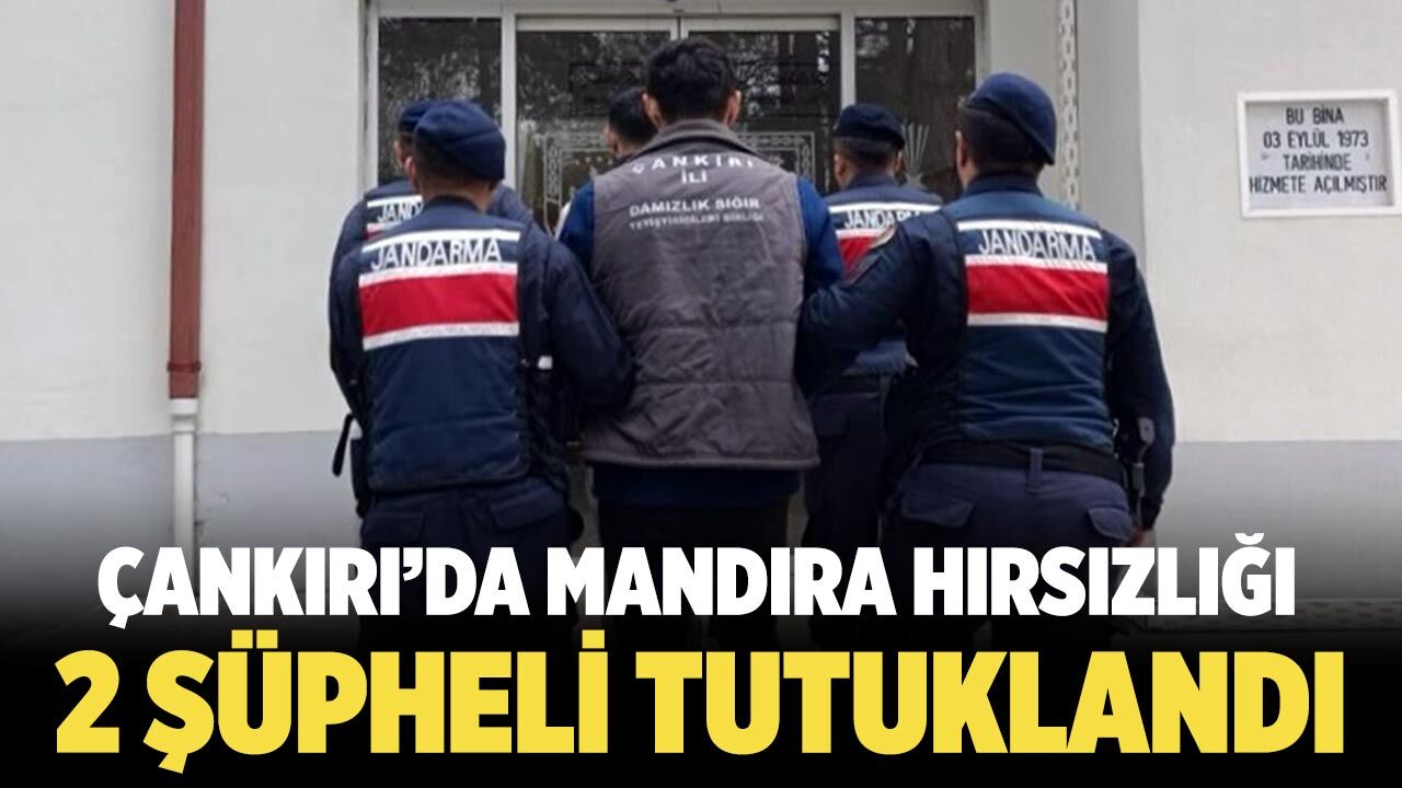Çankırı’da Mandıra Hırsızlığı: 2 Şüpheli Tutuklandı