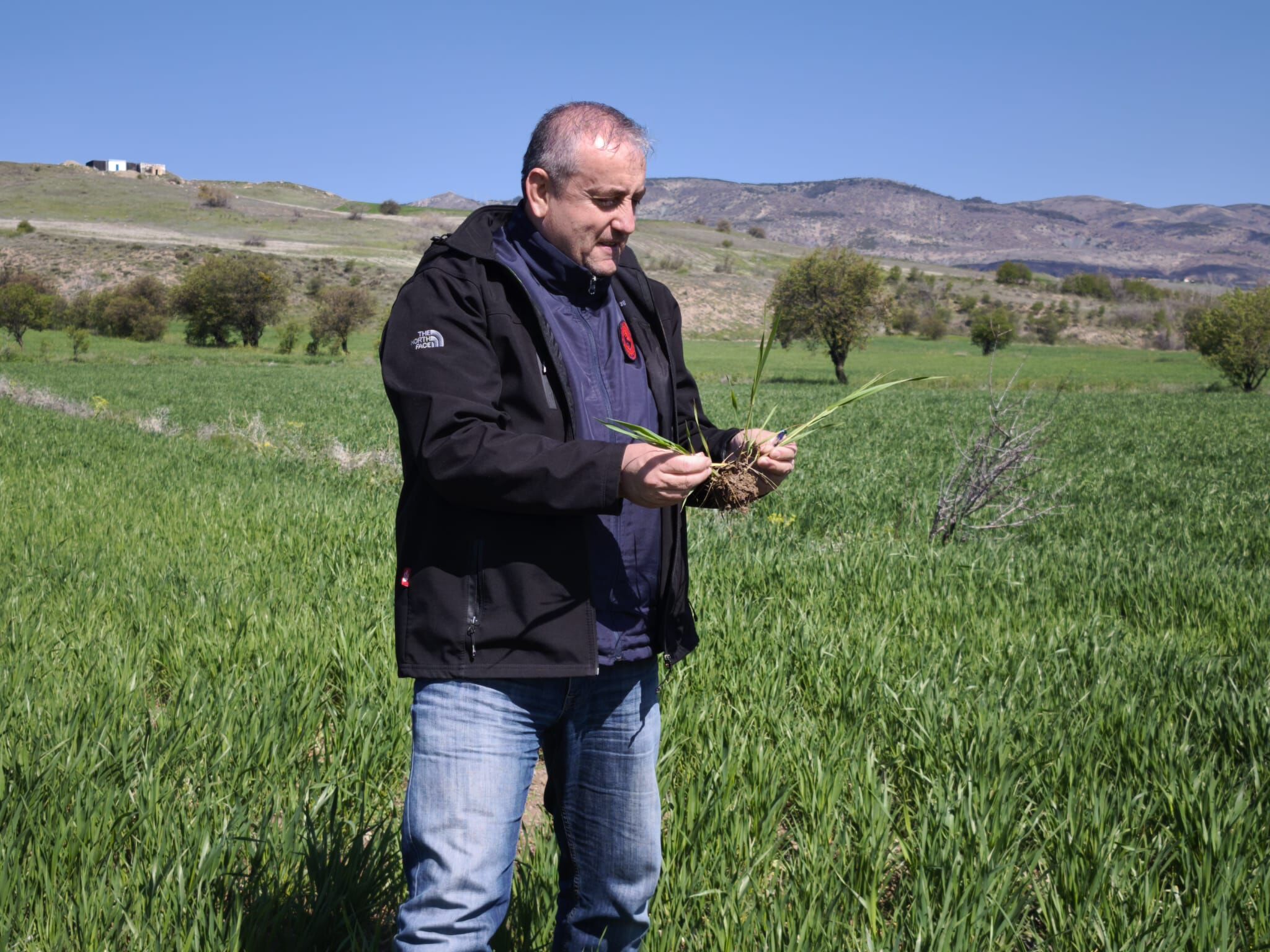 679978222 1386115756868004 2886602356436509428 N