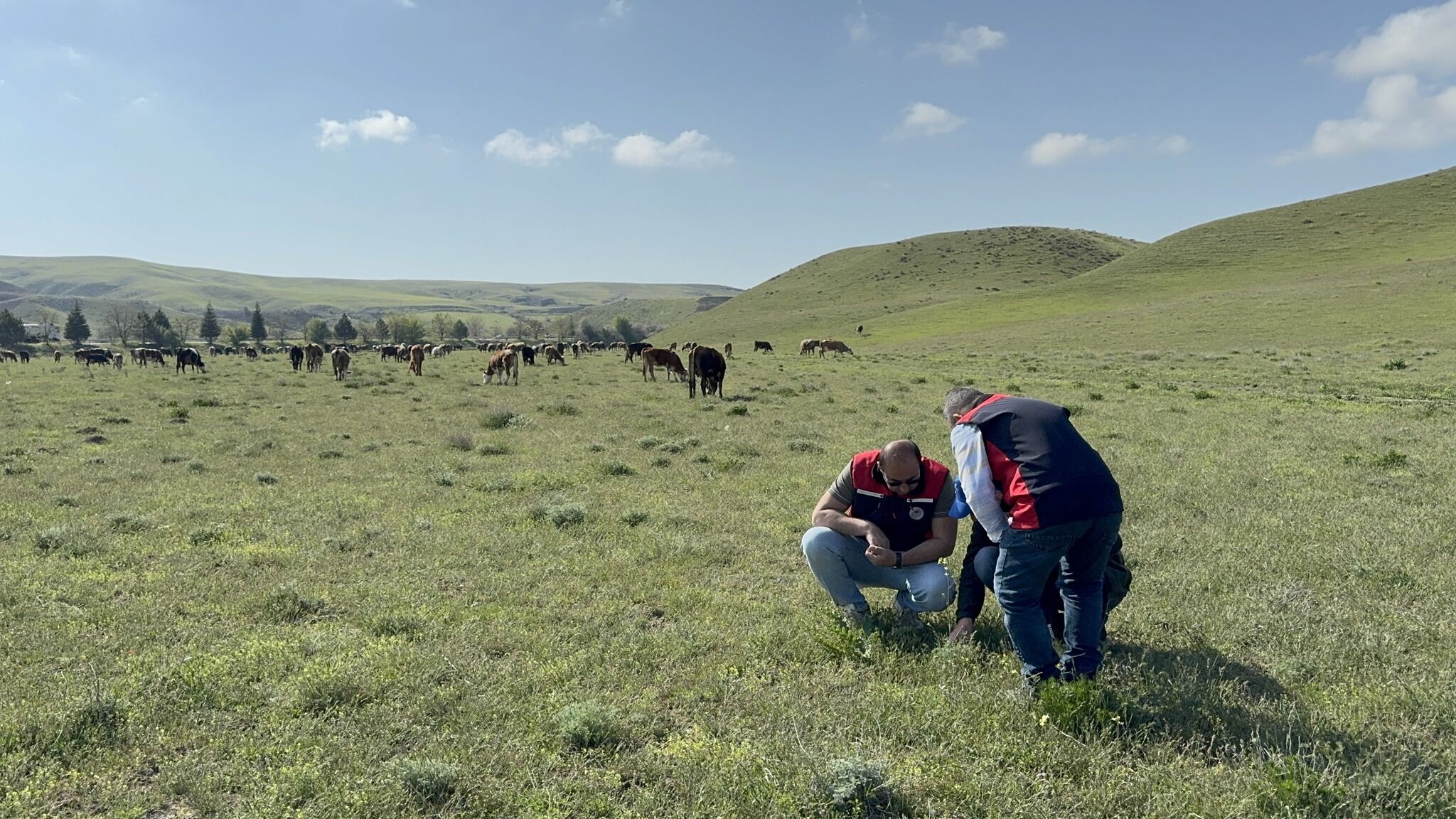 683048290 1387833136696266 2123504046879833009 N