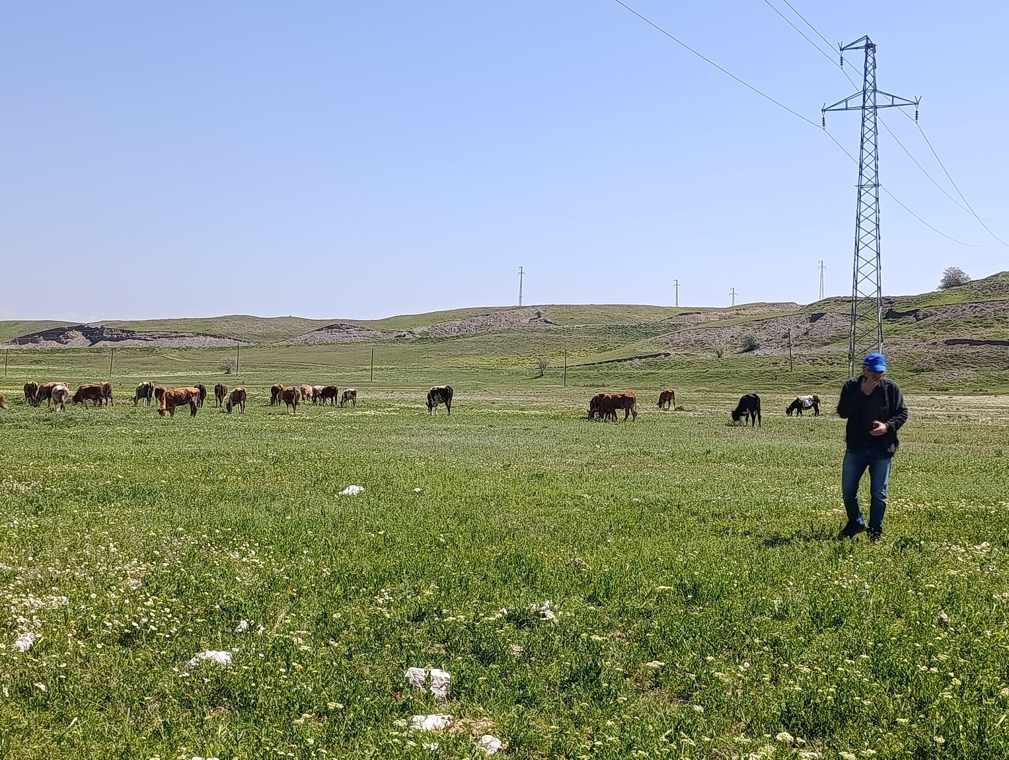 683155422 1387833186696261 4418628641435959391 N (1)