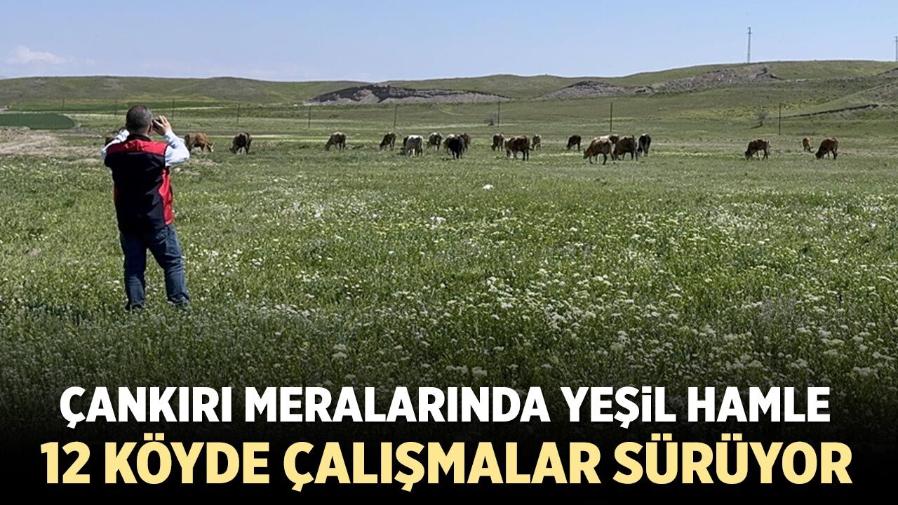 Çankırı’da Mera Islah Seferberliği: 12 Köyde Etüt Çalışmaları Sürüyor