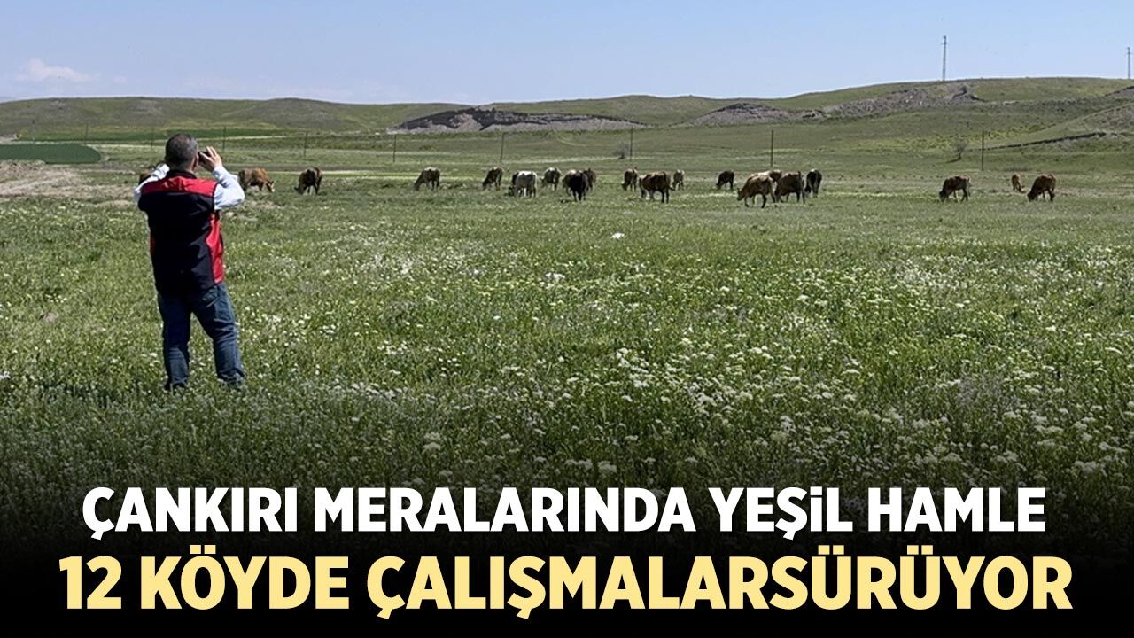 Çankırı’da Mera Islah Seferberliği: 12 Köyde Etüt Çalışmaları Sürüyor
