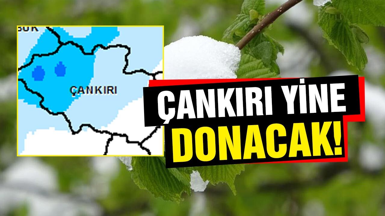 Çankırı’da Zirai Don Uyarısı: Tarım Alanlarında Risk Kapıda