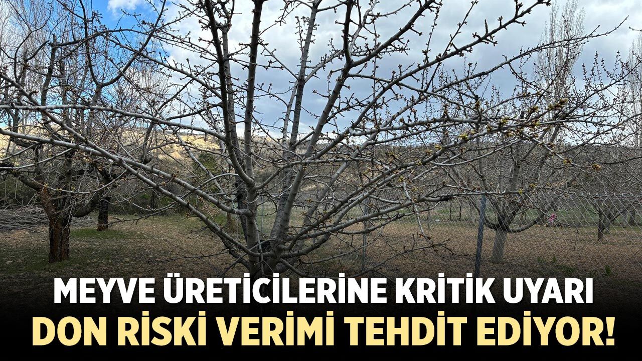 Çankırı’da Meyve Üreticilerine Kritik Uyarı: Don Riski Verimi Tehdit Ediyor!