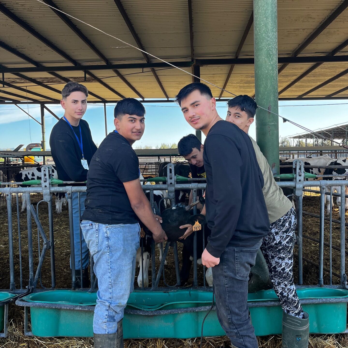 Cankiri Tarim Lisesi Ispanyada1