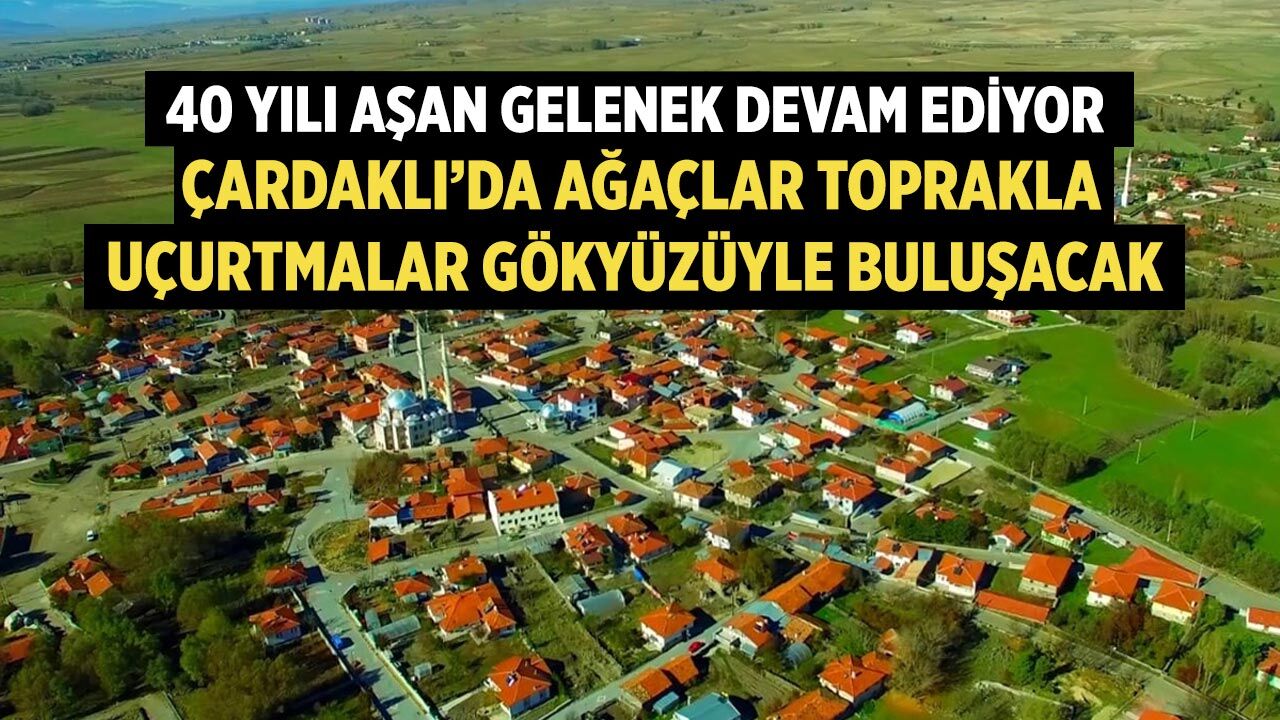 Çardaklı’da Geleneksel Ağaç Bayramı Coşkusu Yaşanacak