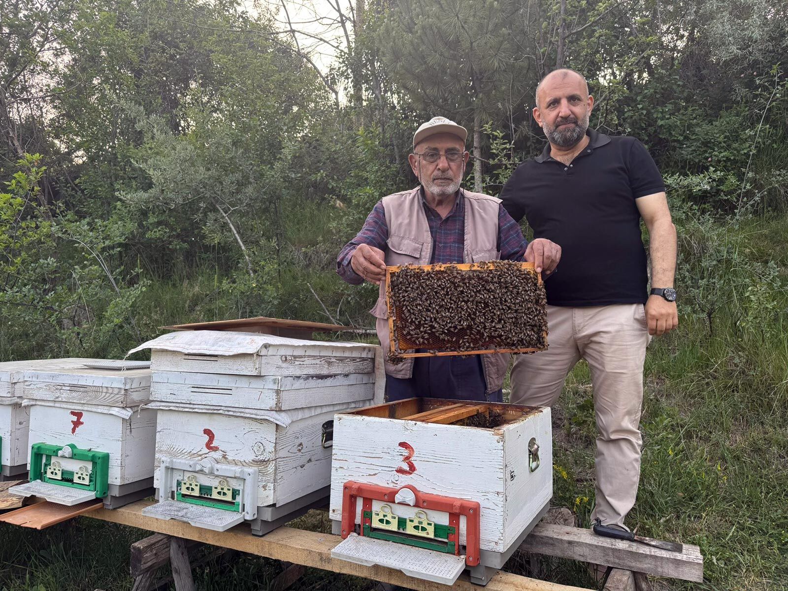 Kursunlu Cicek Bali Sirrı 1