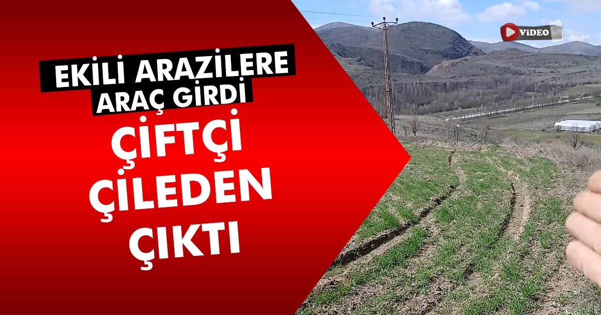 Çiftçiden elektrik dağıtım firmasının yol açtığı tarla zararına tepki