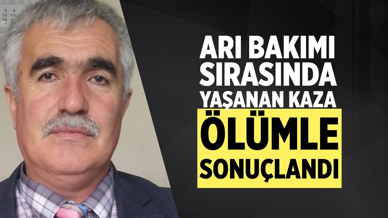 Çankırı’da Arı çıtasının saplandığı Muhsin Çakır hayatını kaybetti