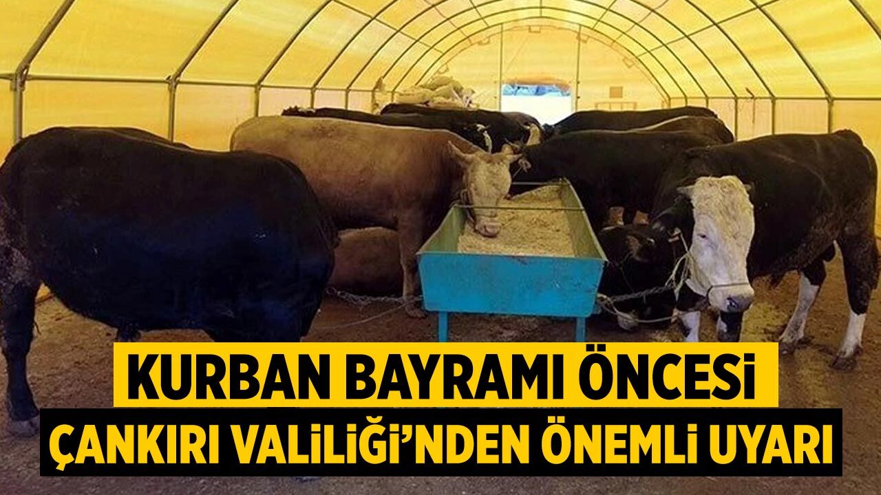 Kurban Bayramı Öncesi Çankırı Valiliği’nden Önemli Uyarı