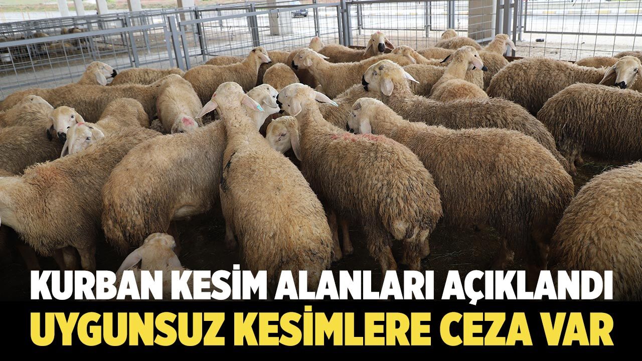 Çankırı’da Kurban Kesim Alanları Açıklandı: Uygunsuz Kesimlere Ceza Var!