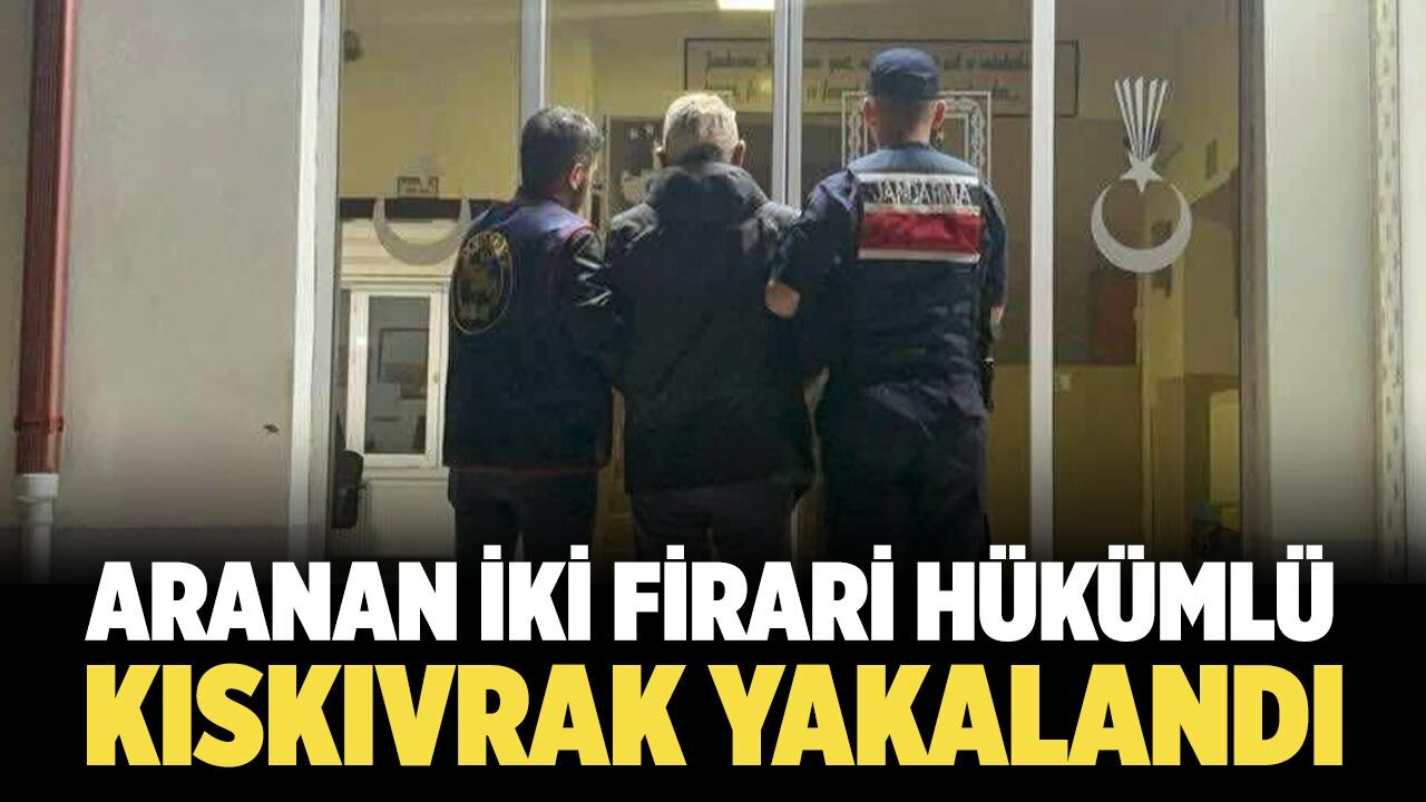 Firari iki hükümlü Ilgaz'da kıskıvrak yakalandı