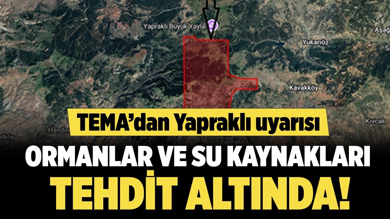 TEMA’dan Yapraklı uyarısı: Ormanlar ve su kaynakları tehdidi altında!