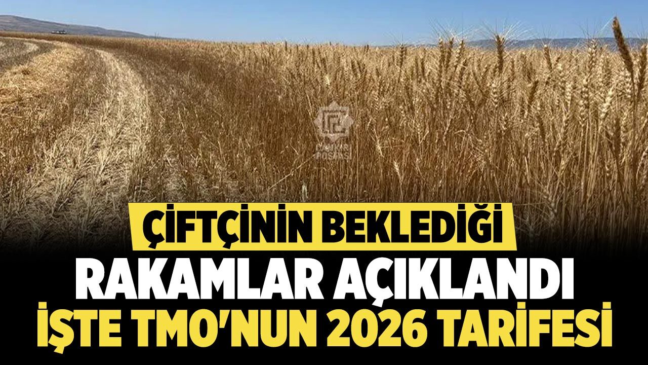 Çiftçinin Beklediği Rakamlar Açıklandı! İşte TMO'nun 2026 Tarifesi