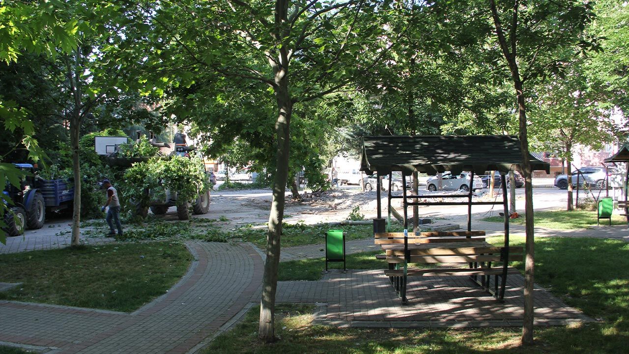 Harebe Yapilar Yikiliyor 1