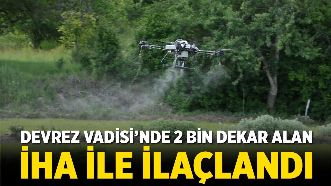 Devrez Vadisi’nde 2 bin dekar alan İHA ile ilaçlandı