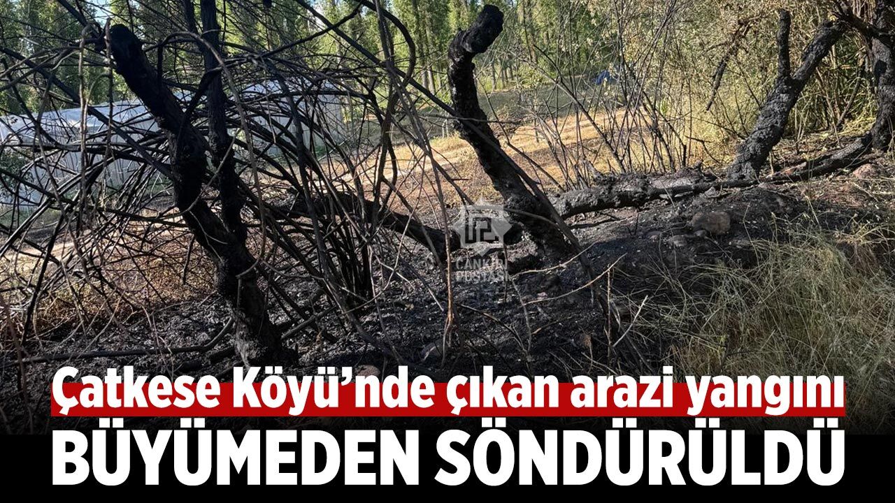 Çatkese Köyü’nde çıkan arazi yangını büyümeden söndürüldü