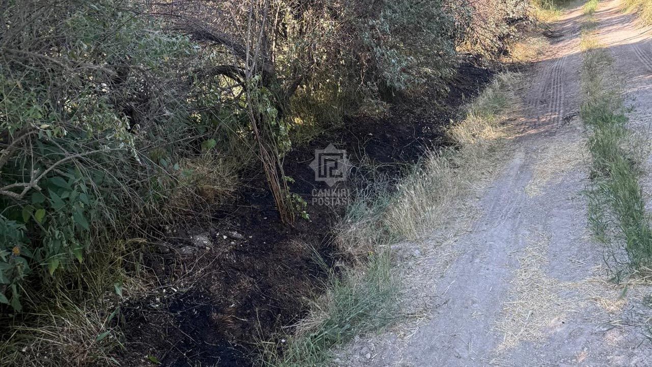 Catkesede Cikan Yangin Büyümeden Söndürüldü3