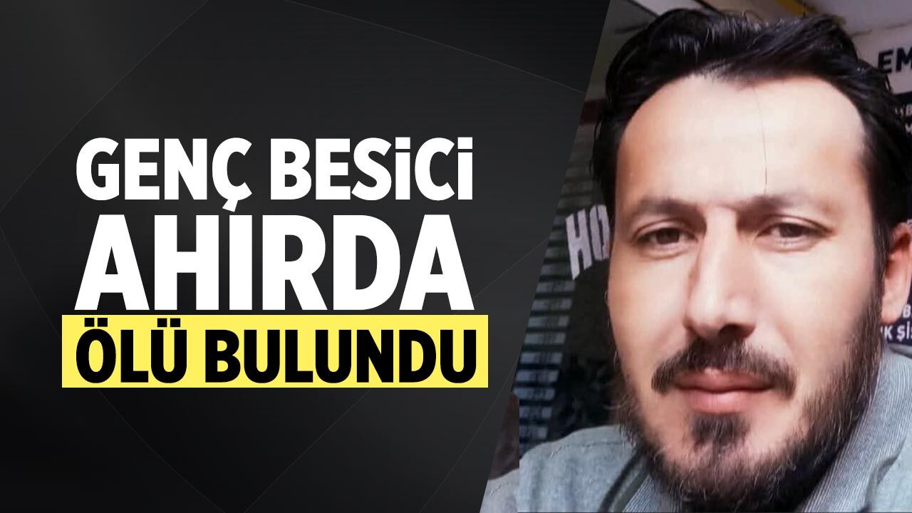 Şabanözü'nde genç besici ahırda ölü bulundu