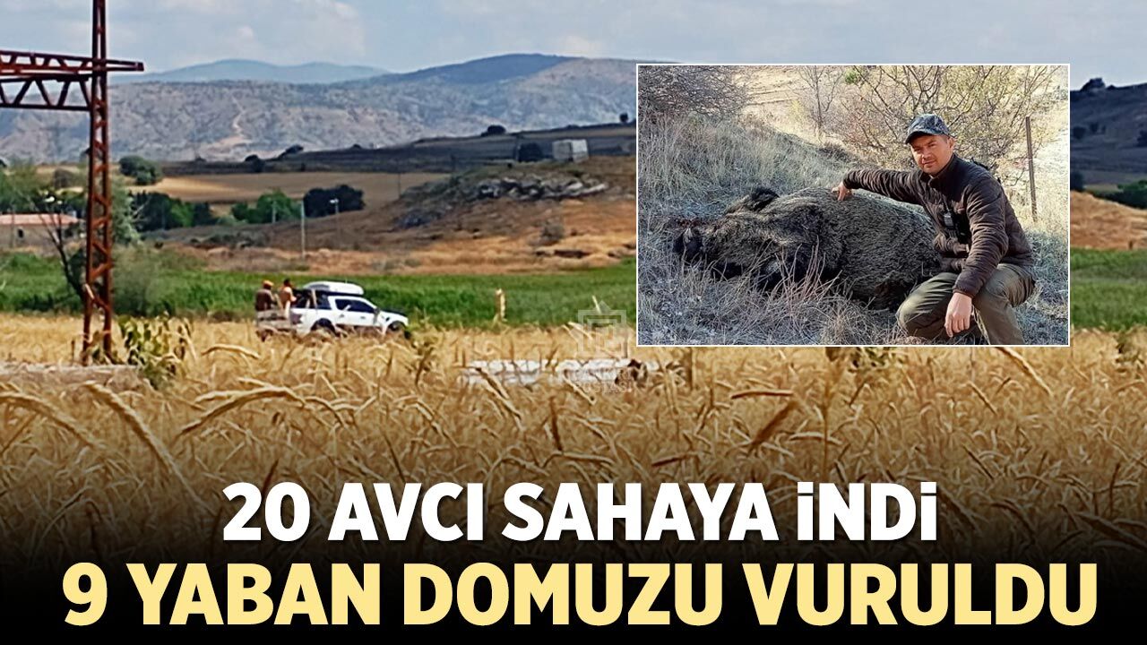 Çavundur'da 20 avcı sahaya indi, 9 yaban domuzu vuruldu